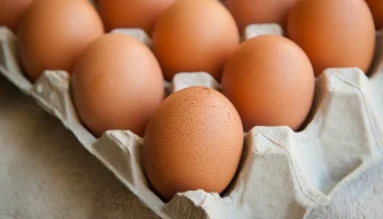 Производитель куриных яиц &laquo;Окское&raquo; предупредил о повышении цен с ноября