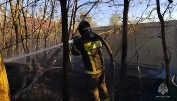 Сухая трава загорелась в воронежском селе Хреновое на площади 10 га