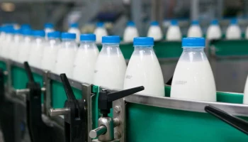 Экономист Шедько: цены на молоко в РФ увеличатся на 10% в октябре 2024 года