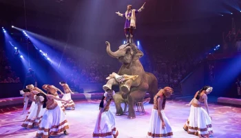 В выходные москвичей ждут цирковые шоу и фестиваль культуры Вьетнама
