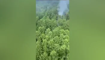 Режим ЧС введен в Амурской области после крушения Ан-24