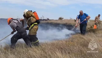 Открытое горение в садовом товариществе "Дружба" в Крыму ликвидировано