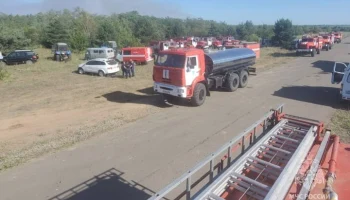 Площадь пожара в Каменском лесничестве под Ростовом выросла до 427 га