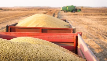 ЕС утвердил запретительные пошлины на зерно из России и Белоруссии
