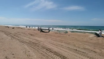 Незначительные выбросы мазута нашли на участке побережья Анапы