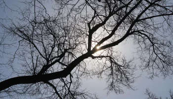 Синоптик Ильин рассказал о погоде в грядущие выходные в столичном регионе