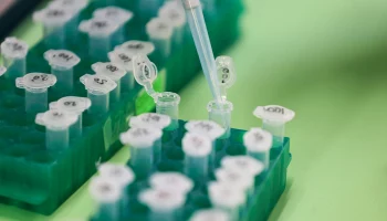 Осужденный за опасный генетический эксперимент ученый Цзянькуй вернулся к работе