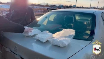 Россиянин прятал наркотики на 16 млн рублей в арендованном авто и попался