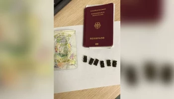 Гражданина ФРГ арестовали в аэропорту Петербурга за провоз наркотических мармеладных мишек