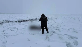 Тело пропавшего подростка под Саратовом найдено на берегу Волги Тело пропавшего подростка под Саратовом найдено на берегу Волги