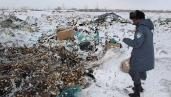 Организатора свалки яиц под Омском могут оштрафовать на 400 тыс рублей