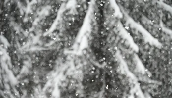 Синоптики сообщили об облачной погоде со снегом в Москве 2 февраля