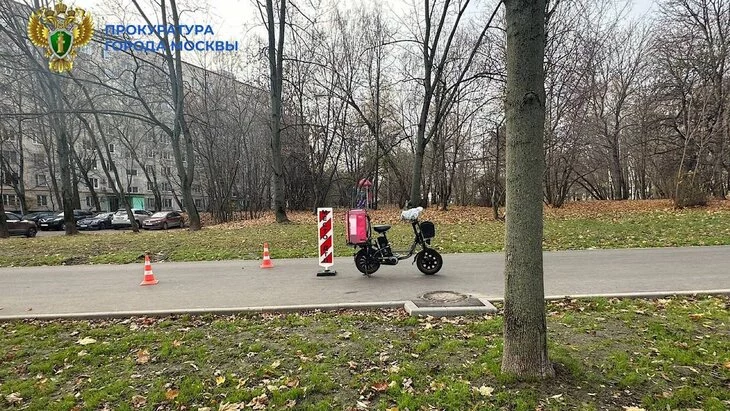 Курьер на электровелосипеде сбил женщину с ребенком на тротуаре в Вешняках Курьер на электровелосипеде сбил женщину с ребенком на тротуаре в Вешняках