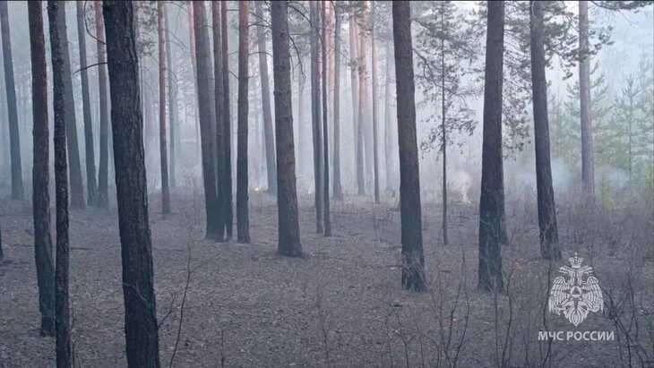 Режим ЧС федерального значения введен в Забайкалье из-за лесных пожаров Режим ЧС федерального значения введен в Забайкалье из-за лесных пожаров