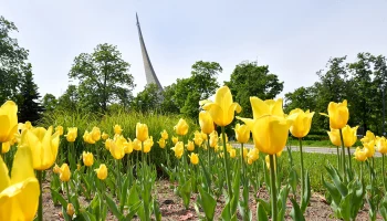 Синоптик Вильфанд рассказал, какая погода ждет москвичей на праздничных выходных