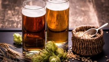 Чехия стала главным поставщиком пива из Евросоюза для России