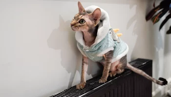 Отопительный сезон приблизился к завершению в Москве