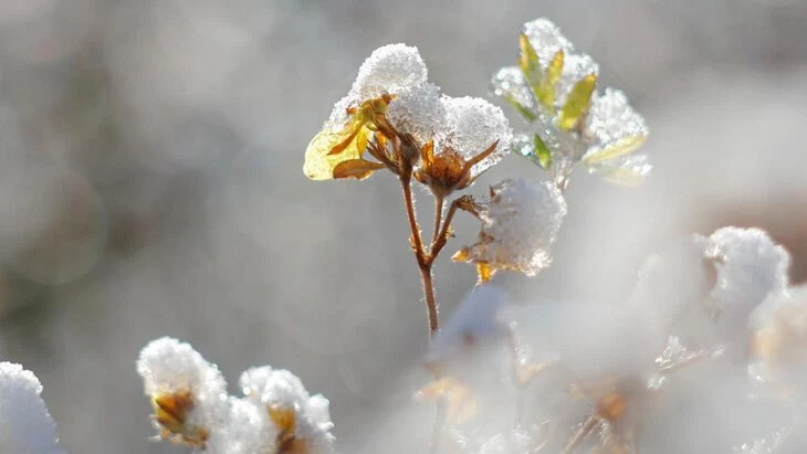 Качество воздуха в Москве оставалось в норме в ноябре 2024 года