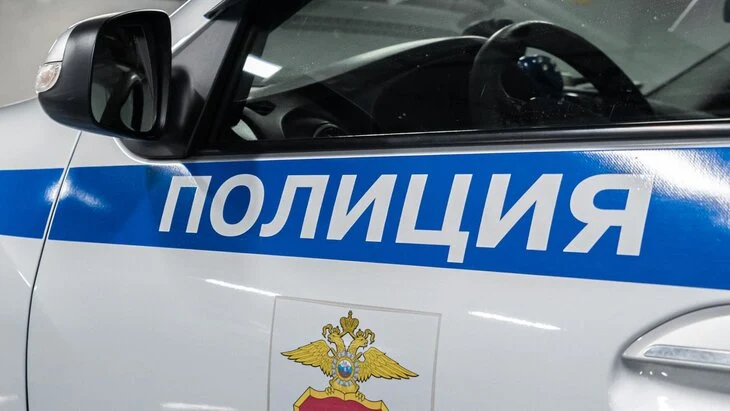 Пенсионерка украла пальму из квартиры соседки в Рязанской области