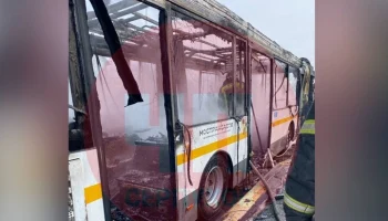 Десять человек эвакуированы из загоревшегося автобуса в Подмосковье
