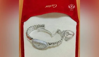 Россиянка попыталась провезти в Домодедово часы с 323 бриллиантами