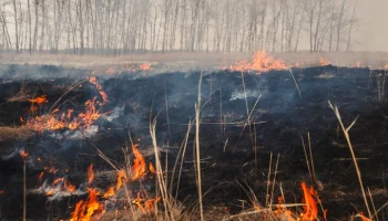 В Удмуртии природный пожар перешел на садоводческое товарищество