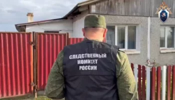 Компоненты средства от насекомых найдены на шерсти кота отравившейся красноярской семьи