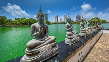 На Шри-Ланке подозреваемых в ловле ящериц россиян освободили под поручительство