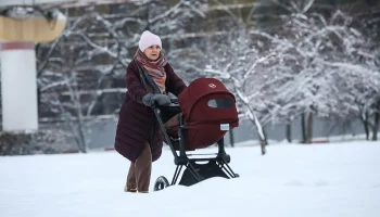 Синоптики сообщили о солнечной и морозной погоде в Москве 14 декабря