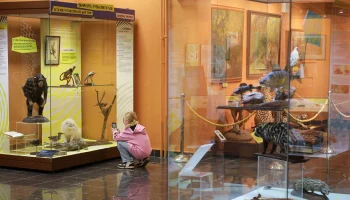 Музеи Москвы посетили более семи миллионов раз с помощью сервиса «Мосбилет» Музеи Москвы посетили более семи миллионов раз с помощью сервиса «Мосбилет»