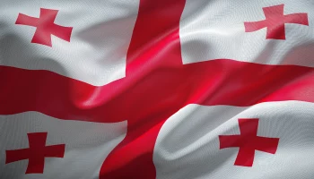 Парламент Грузии в окончательном чтении запретил пропаганду ЛГБТ* и смену пола