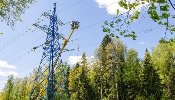 Свыше 150 га территории вдоль линий электропередачи расчистили в ТиНАО