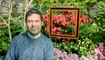 У азалии японские корни. В чем уникальность этих редких цветов, требующих особого ухода