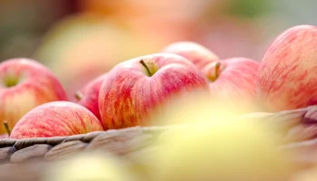 Афганистан отправил в Россию 50 тонн яблок из Кандагара