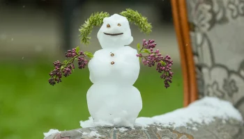 Синоптик Тишковец: Весна придет в Центральную Россию раньше срока