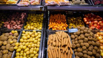 Эксперт Абрамов: морковь в России подешевела за год на 58%