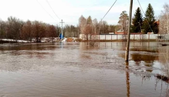 Железобетонный мост смыло течением в нацпарке "Бузулукский бор" в Оренбуржье