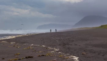 Землетрясение магнитудой 4,2 зафиксировали на Камчатке