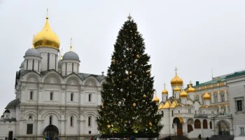 Главную новогоднюю елку страны привезут в Кремль 10 декабря