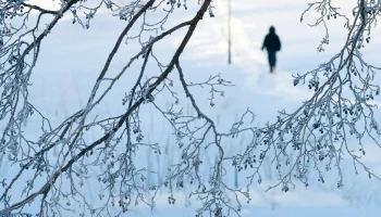 Морозы до минус 22 градусов ожидаются в Москве в ночь на 9 февраля