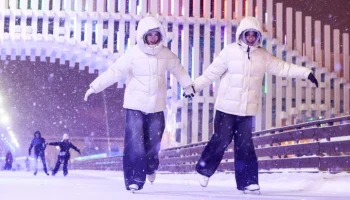 Каток на ВДНХ ограничит работу вечером 28 января из-за снегопада