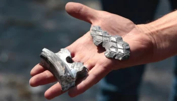 Два бойца самообороны ранены в Белгородской области при атаке дрона