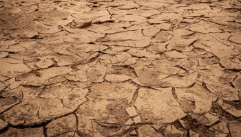 Власти Зимбабве ввели в стране режим бедствия из-за засухи