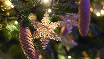 Синоптик Тишковец: Москвичи встретят Новый год с морозом и со снегом