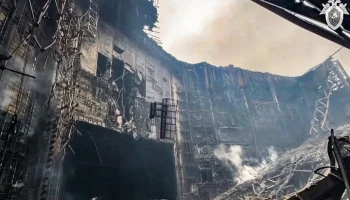 МЧС РФ выявило мошенников, работавших под видом кинологов в "Крокус Сити Холле"