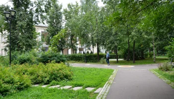 Штрафы за вред зеленым зонам теперь такие же, как на природных территориях