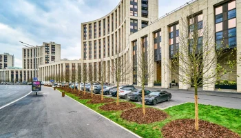 Специалисты начали высадку деревьев на проспекте Академика Сахарова в столице