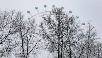 Столичные парки закроют для посещения из-за снегопада