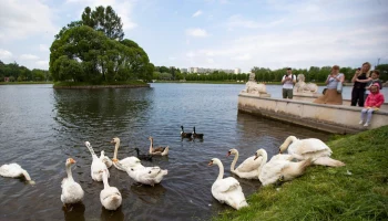 Музей-заповедник &laquo;Царицыно&raquo; заявил об открытии летнего сезона 1 мая
