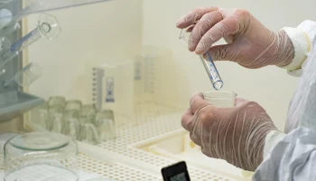 Вирус Alaskapox впервые унес жизнь человека: что известно о болезни и доберется ли она до РФ